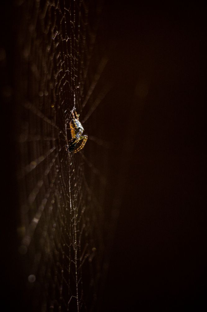 Photograph by Rushil pradhan