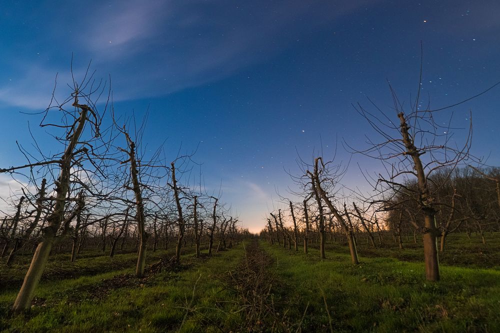 Танец ведьм (ШАБАШ)