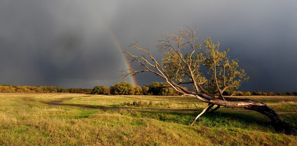 Летний день
