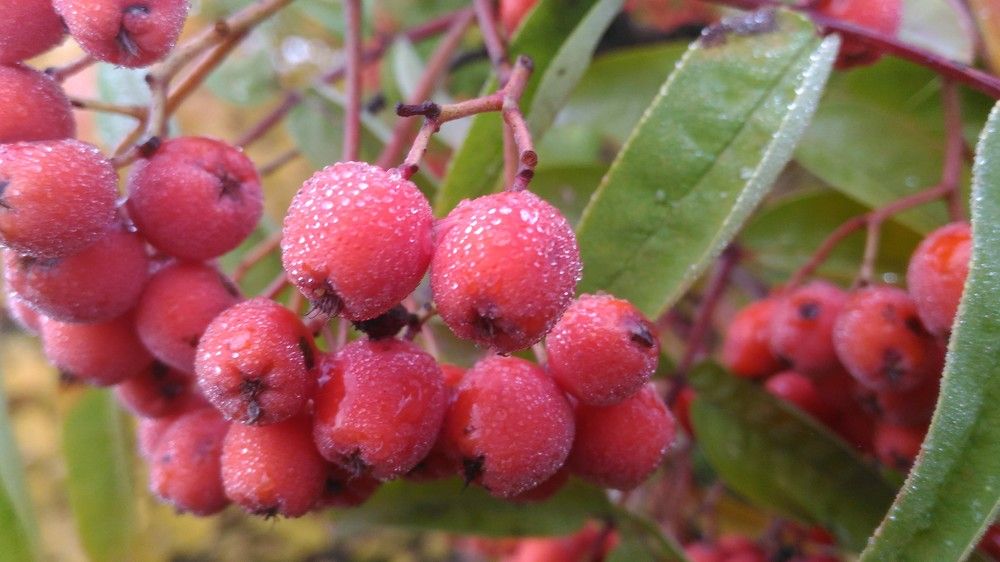 Photograph by Иван Суханкин