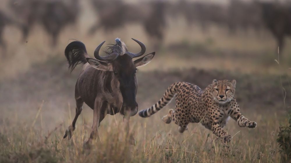 It’s more than what meets the eye