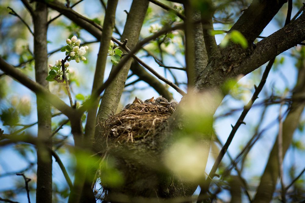 We are in a huge world