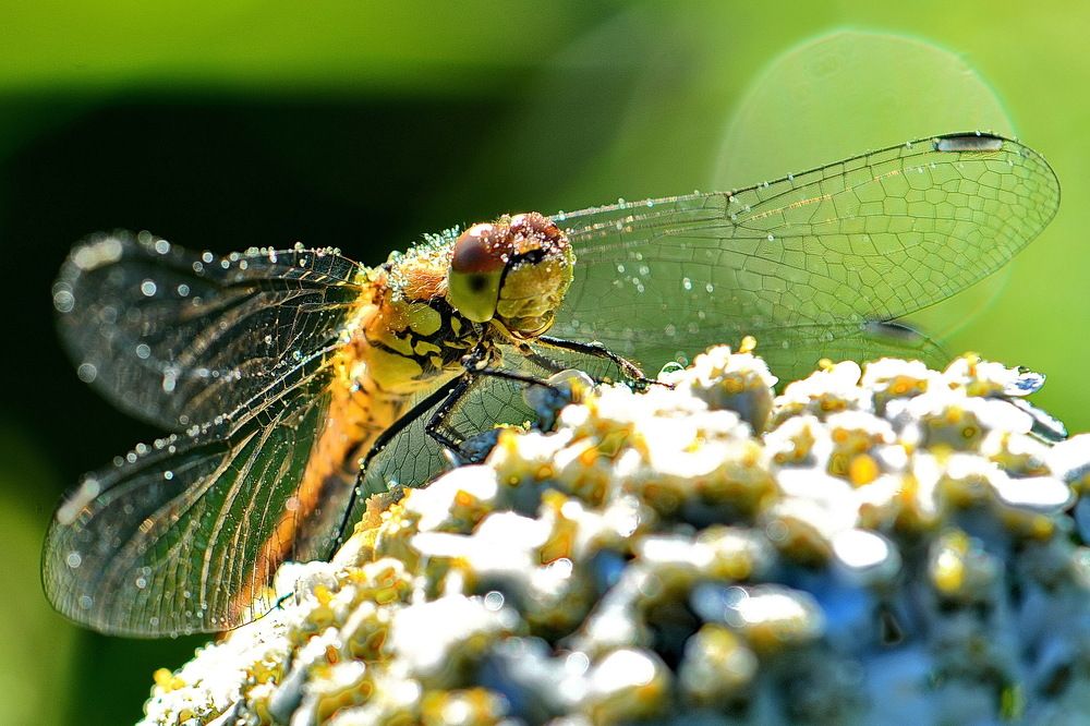 С добрым утром.
