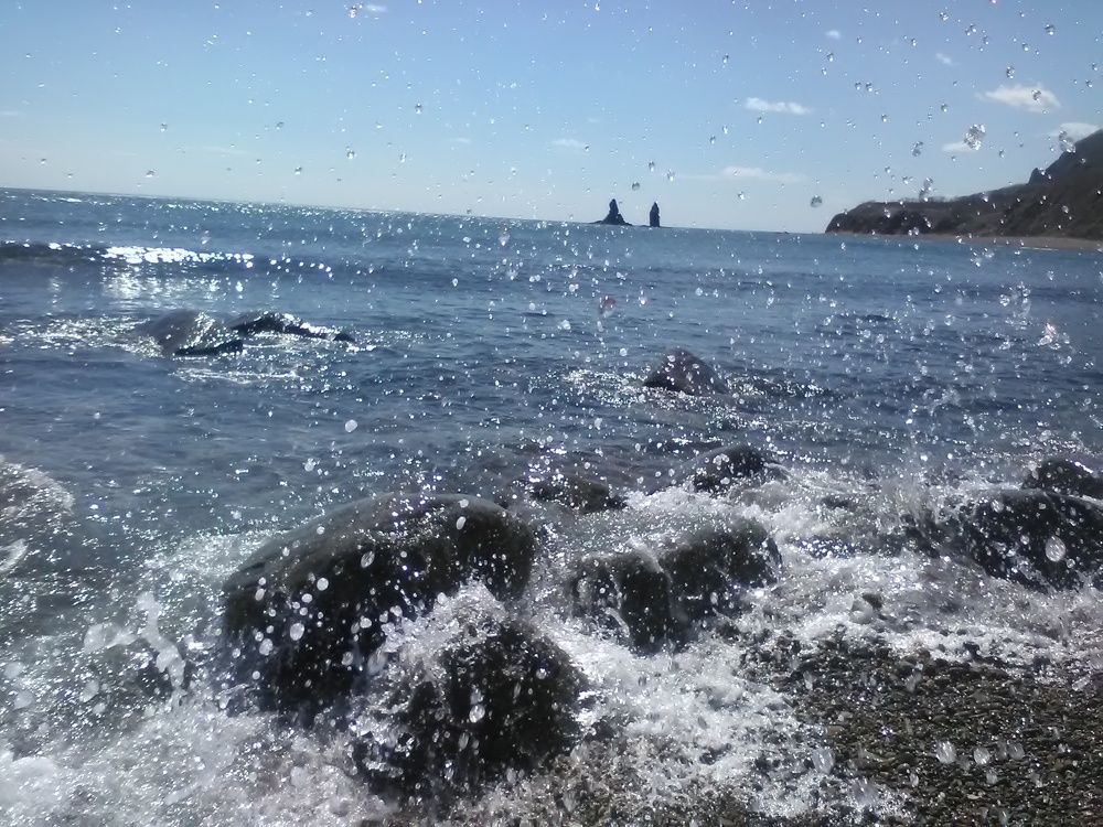 У синего моря