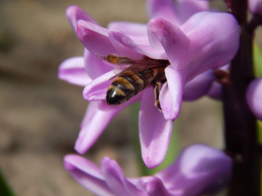 Photograph by Алена