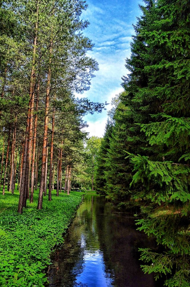 Photograph by Антон