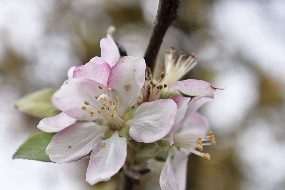 Photograph by Котова Лиза