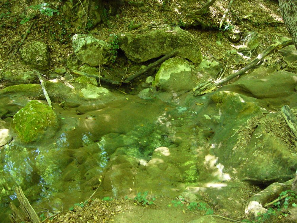 у водопада Серебряные струи