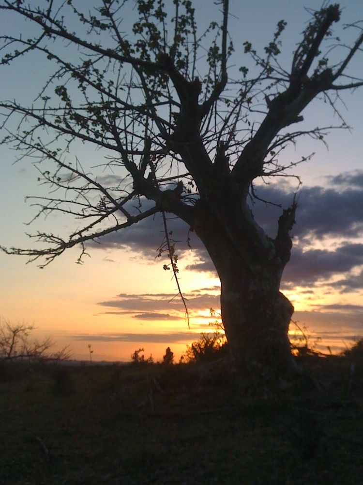 Sunset at hammer village