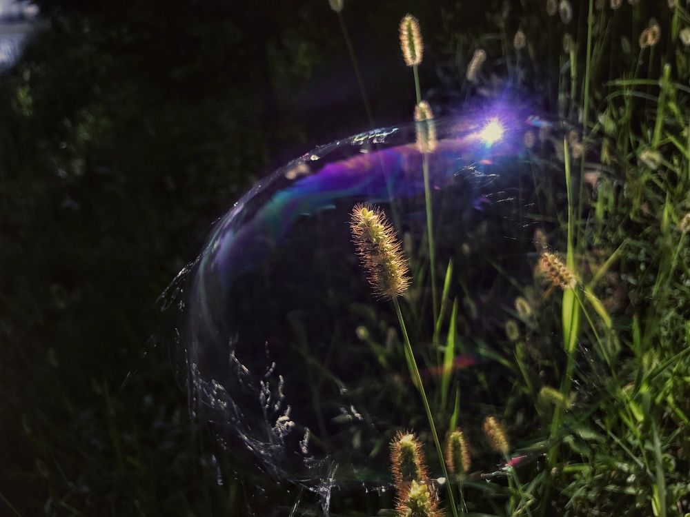 Разрушение Азона