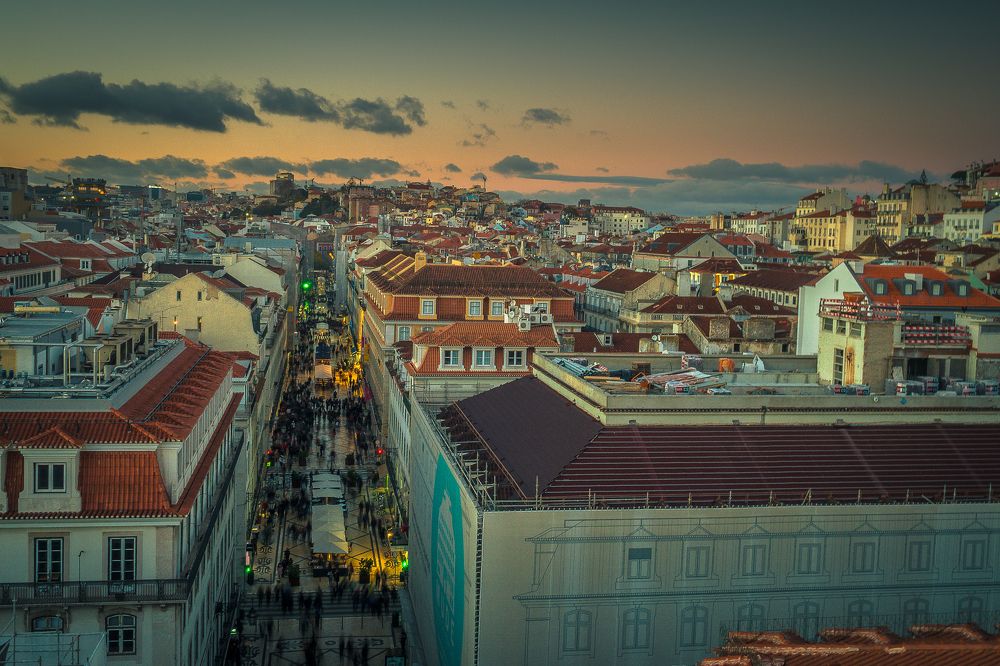 Bird eyes over Lisbon
