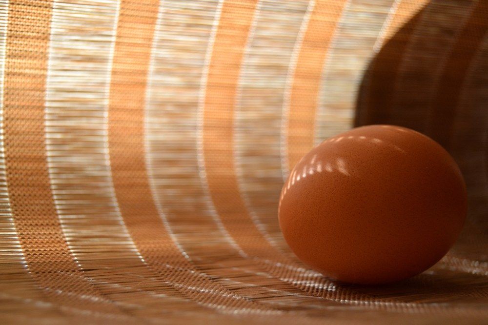 Яйцо