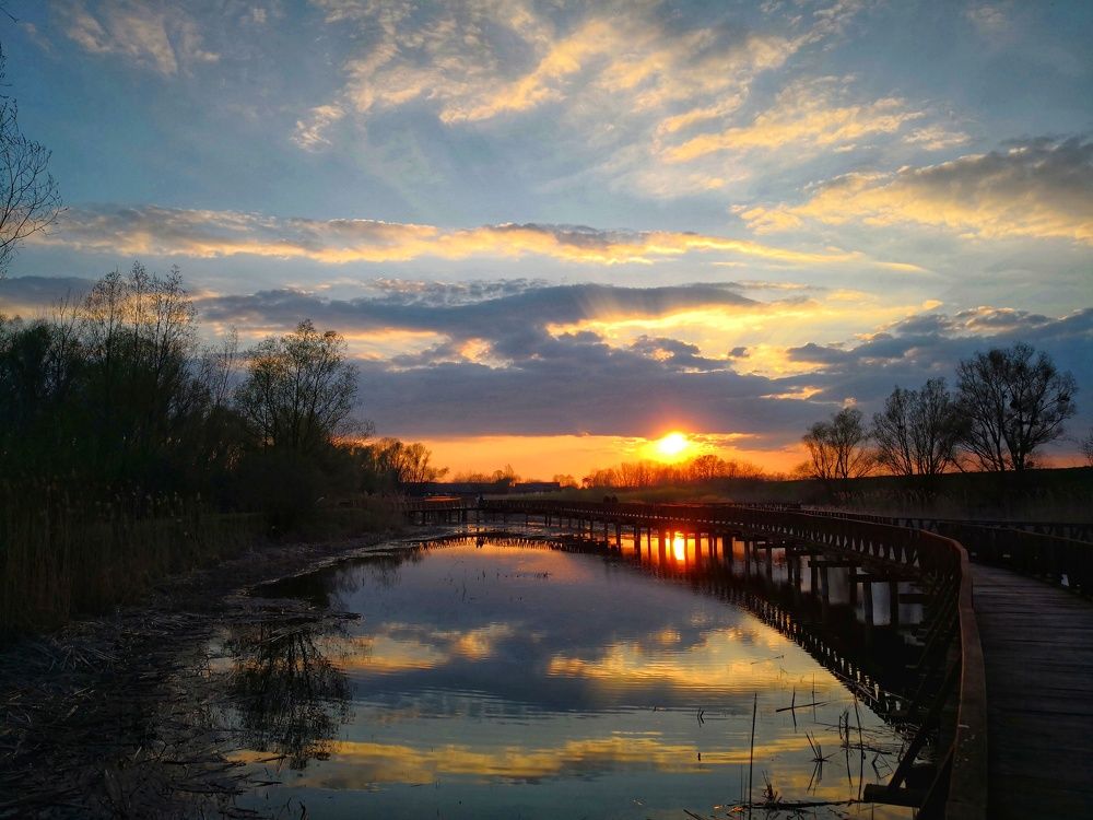 Kopački rit - nature park