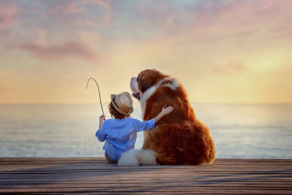 Фотография автора Анна Гис