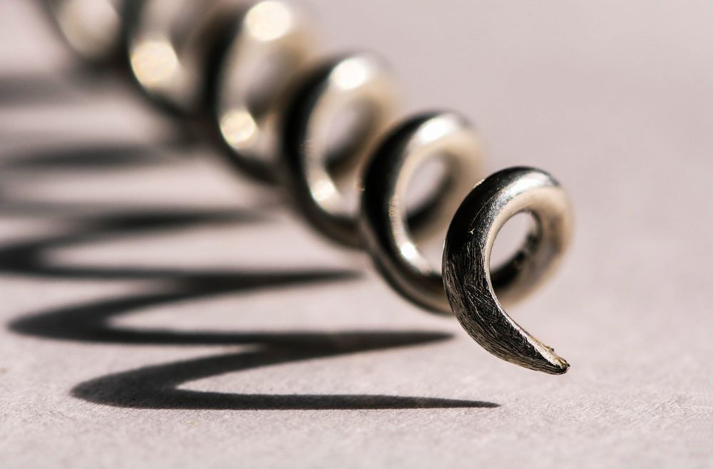 Штопор обыкновенный