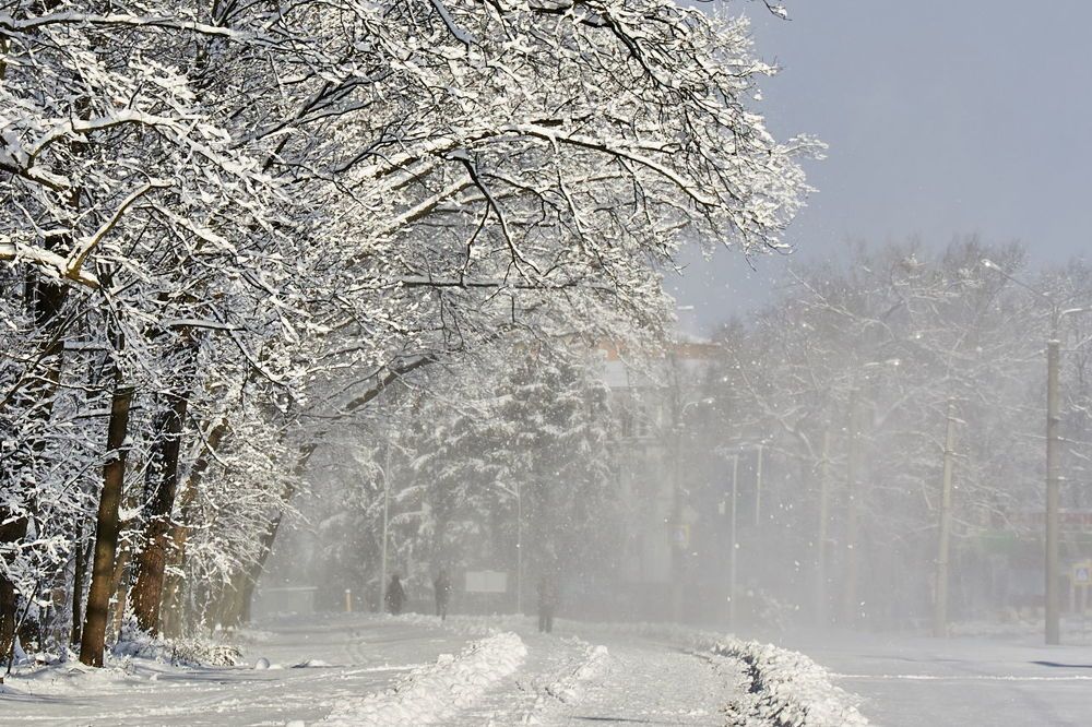 Photograph by Евгений Лобойко