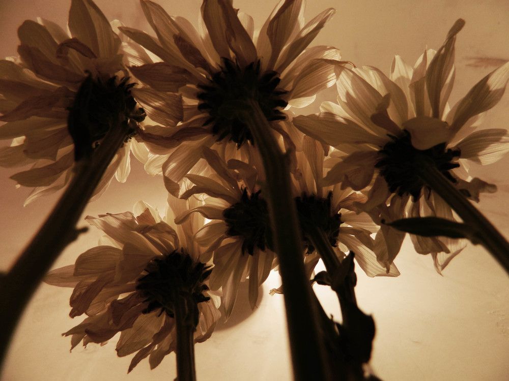 Photograph by Катерина