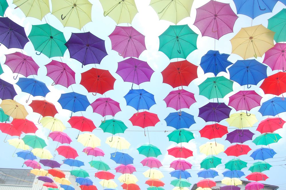 sky of umbrella's.........