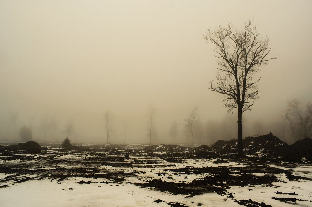 Туманные перспективы