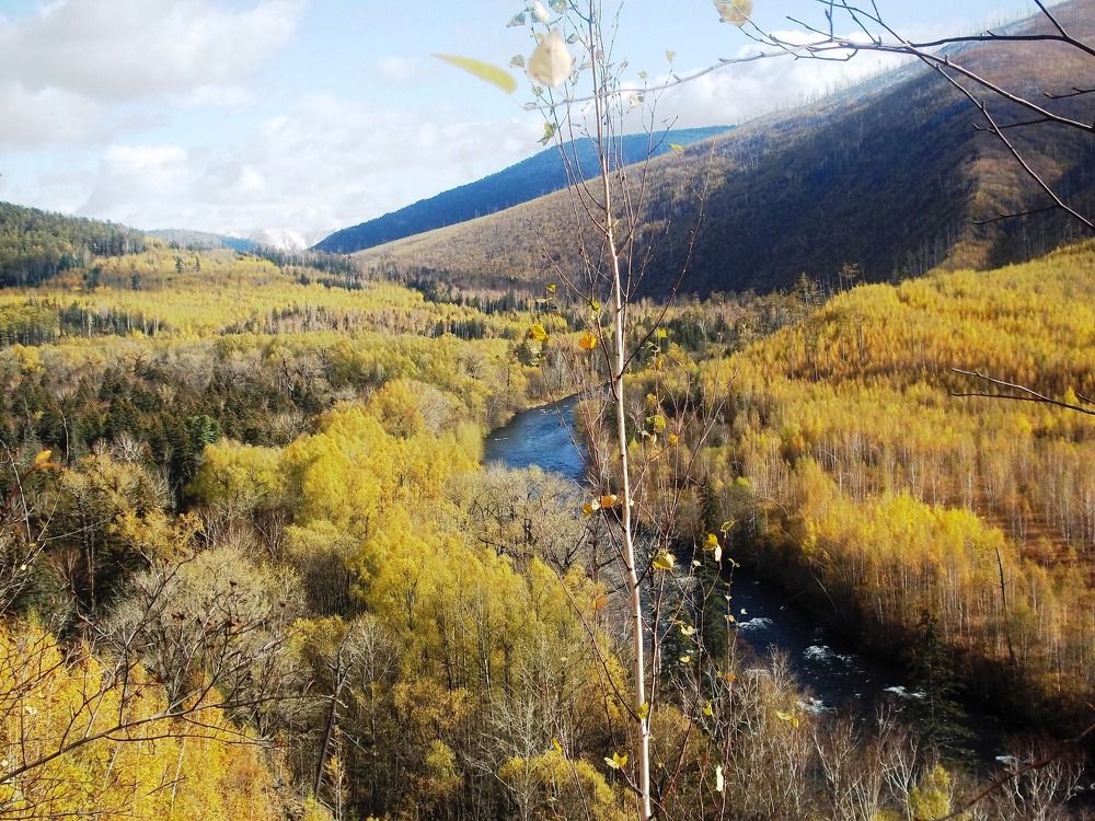 Осенний орнамент