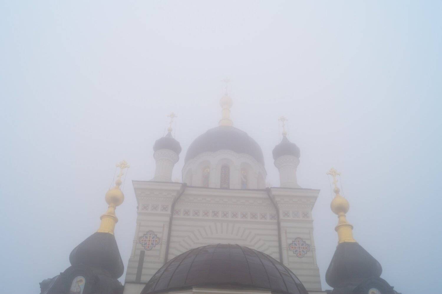Photo #2293291