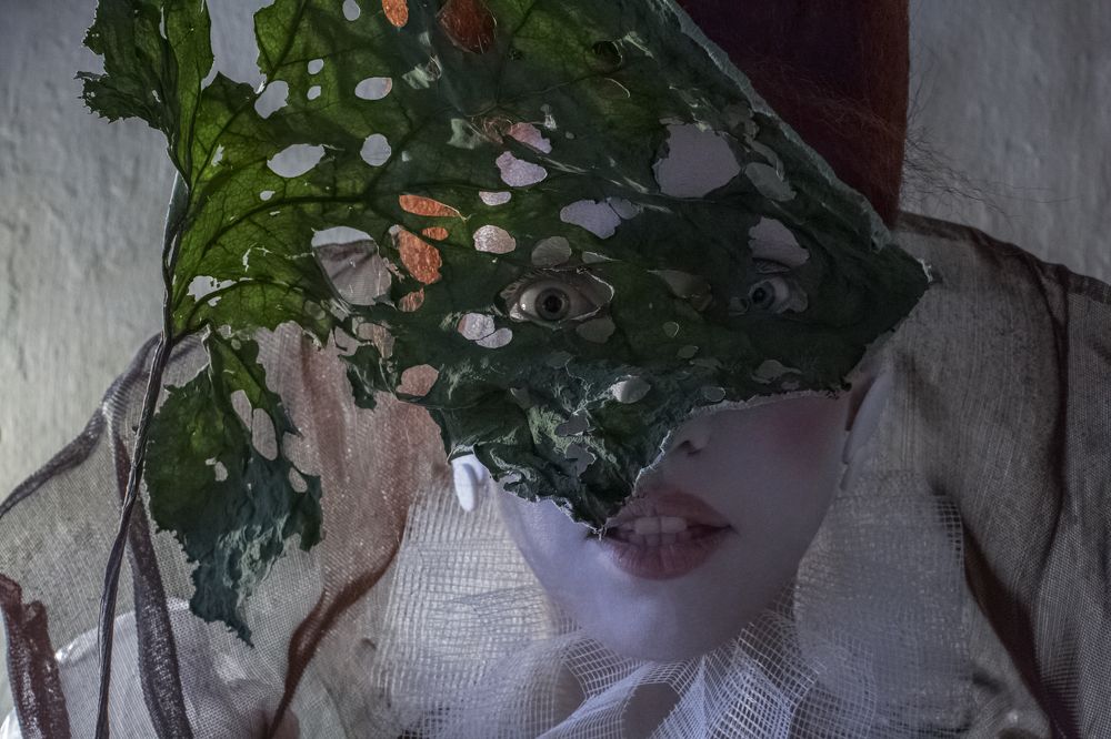 сон в летнюю ночь