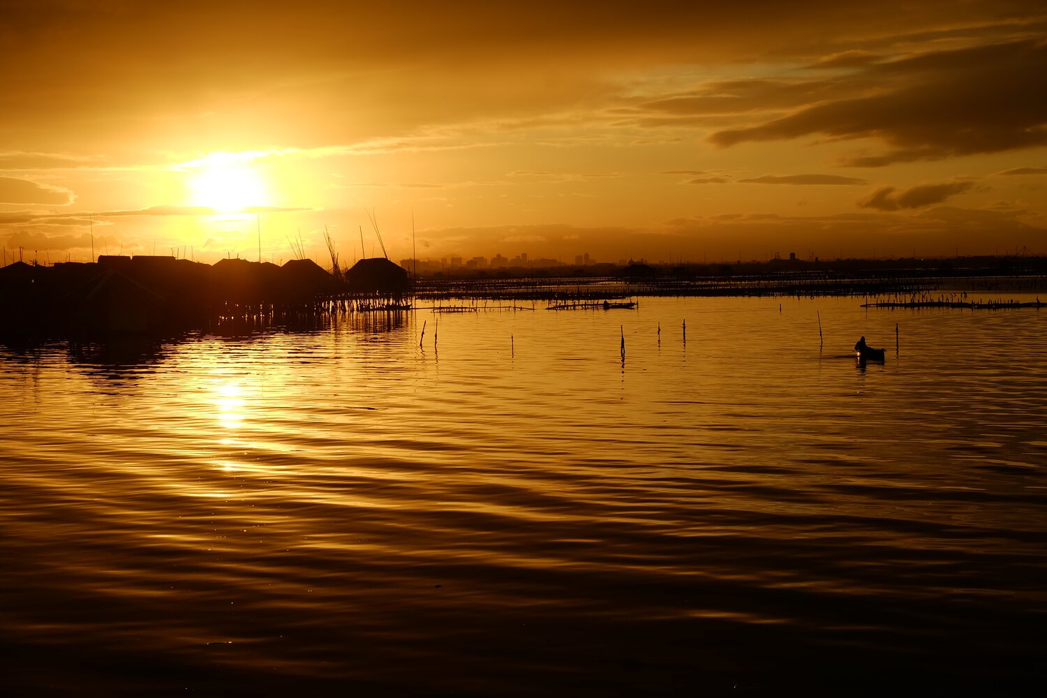 The Fisherman