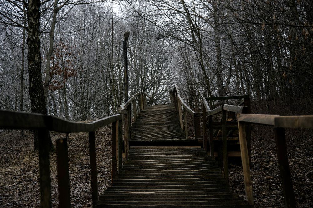 Путь в неизведанное