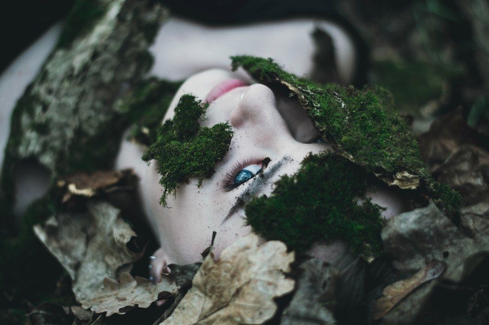 взгляд природы