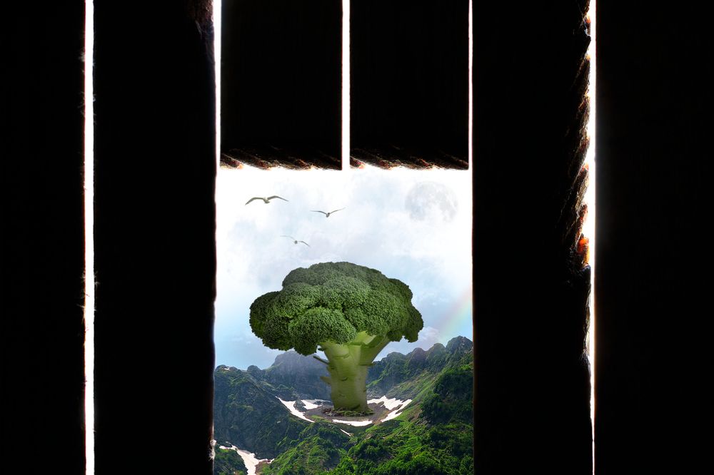 Удивительный мир снаружи...