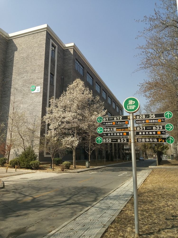 Spring on the China street