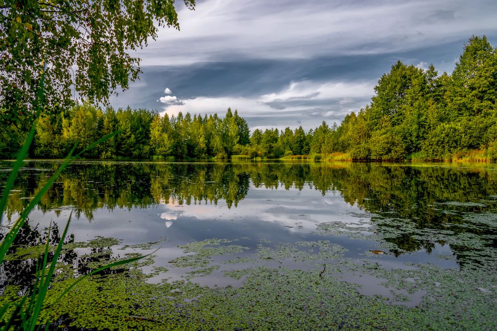 Утро на озере