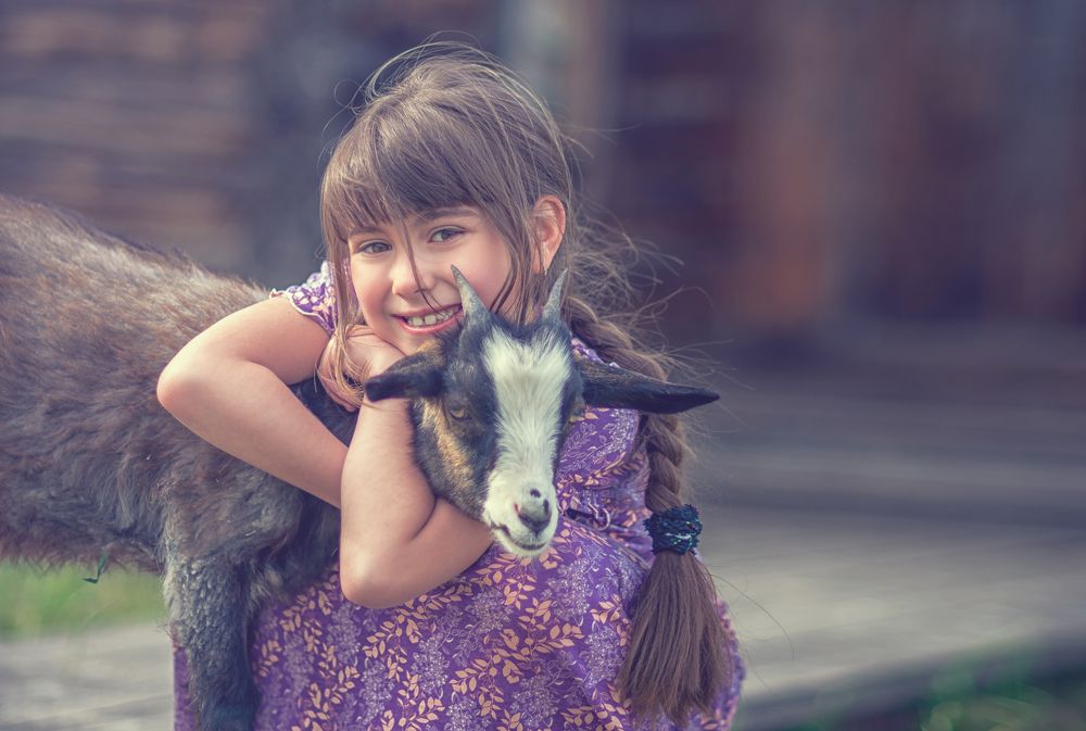 Лето у бабушки