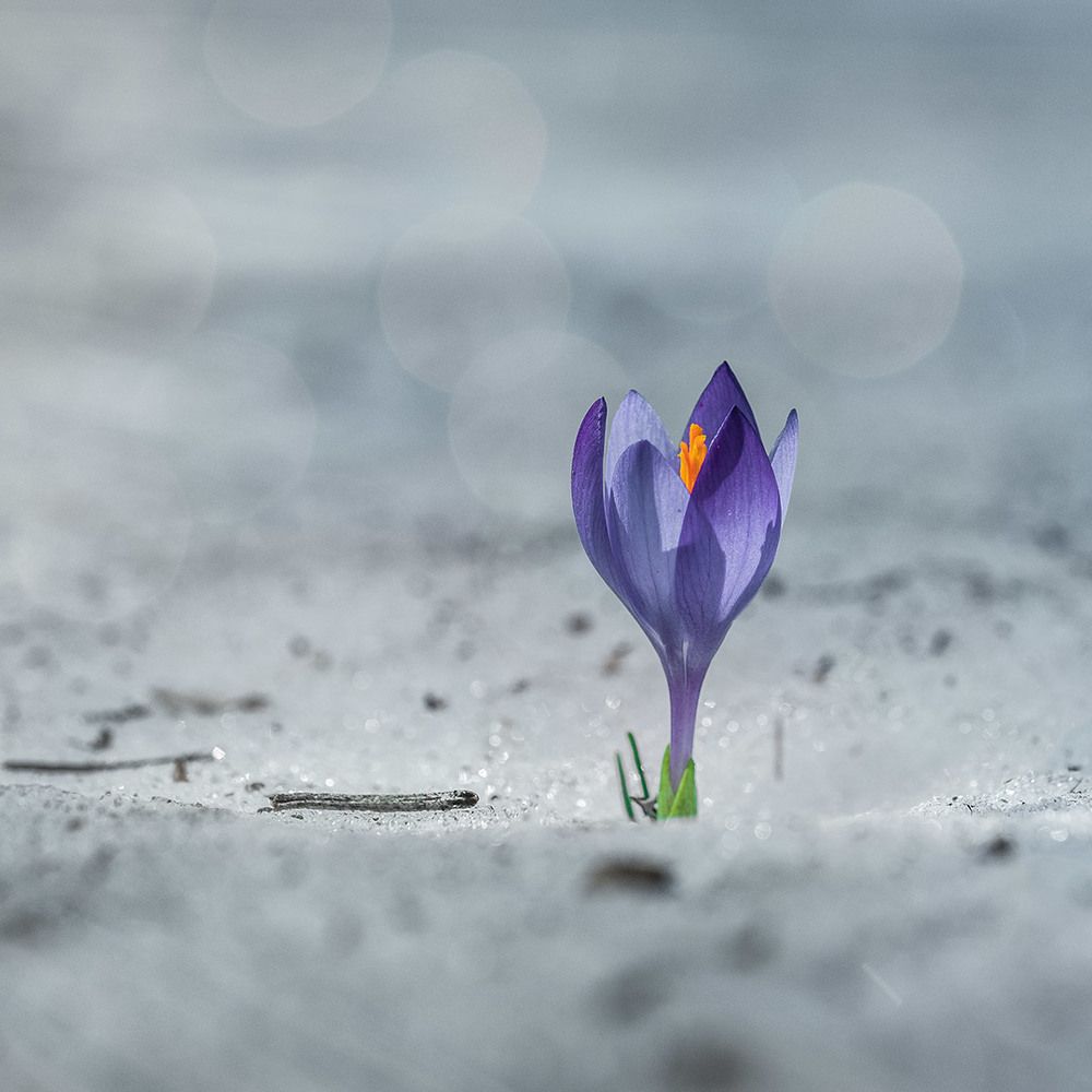 Photograph by Atanas Kulishev