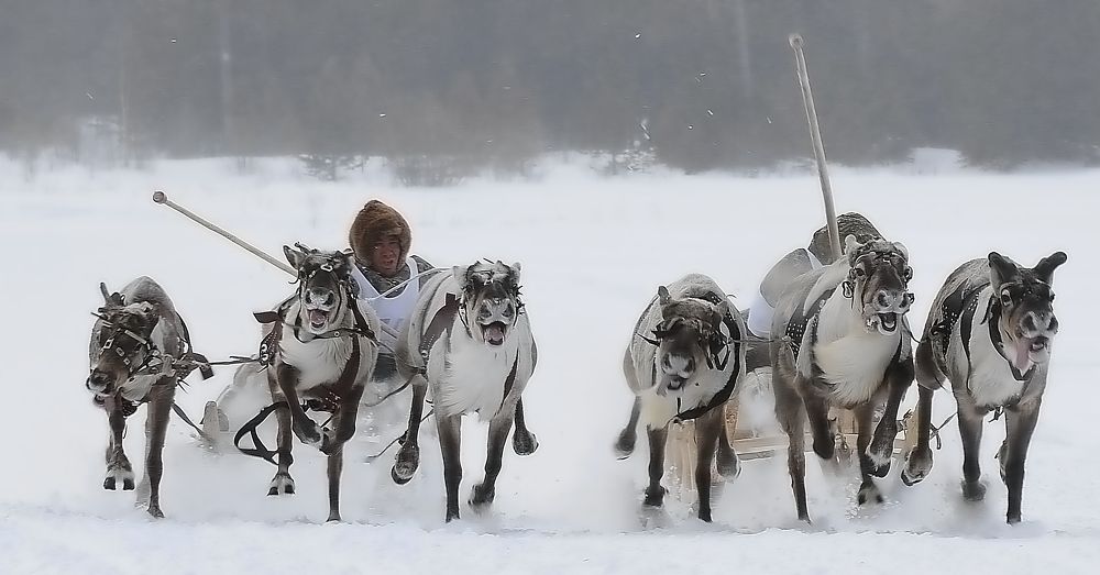 Страсти на финише гонки.