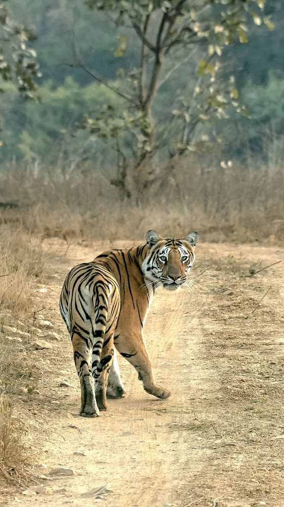 Photograph by digambar chaple