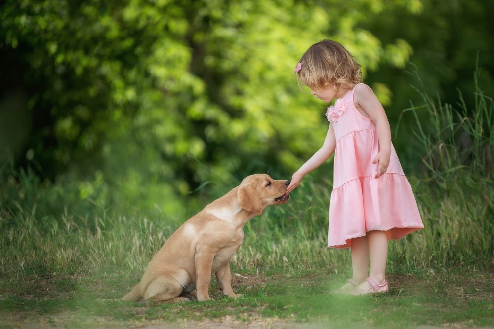 Маленький друг