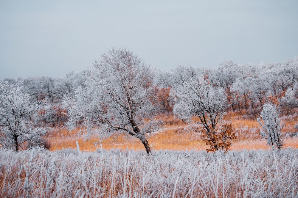 Photograph by Сигида Дмитрий