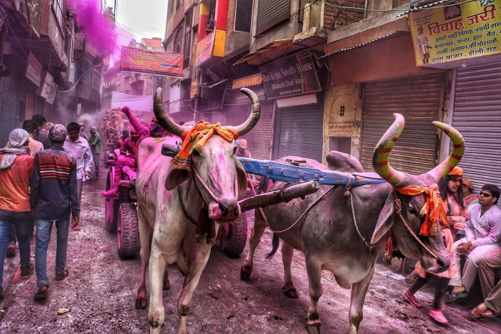 Childrens holi in streets