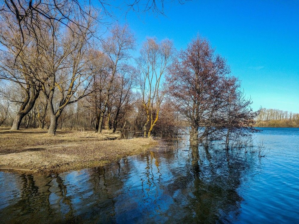 весна пришла