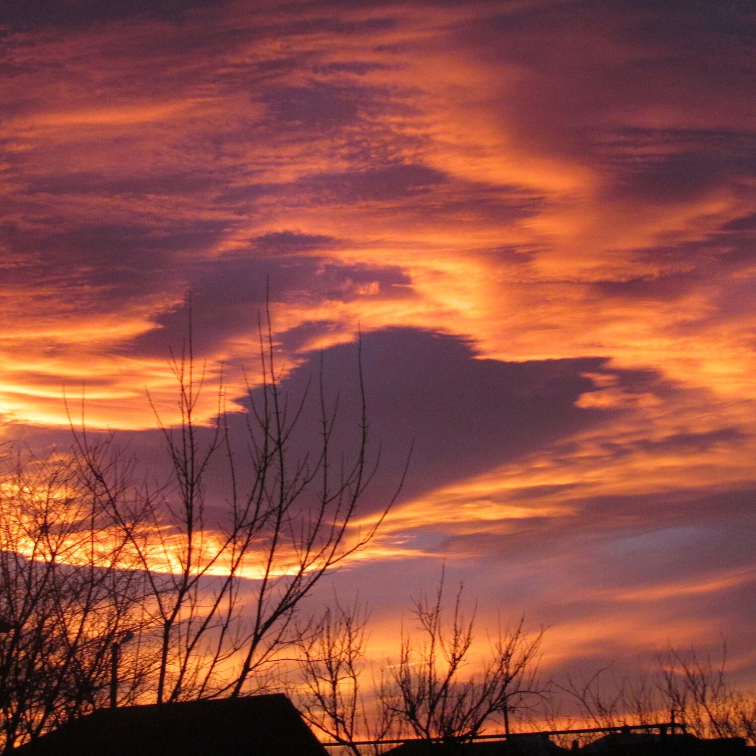 Photo #2295521