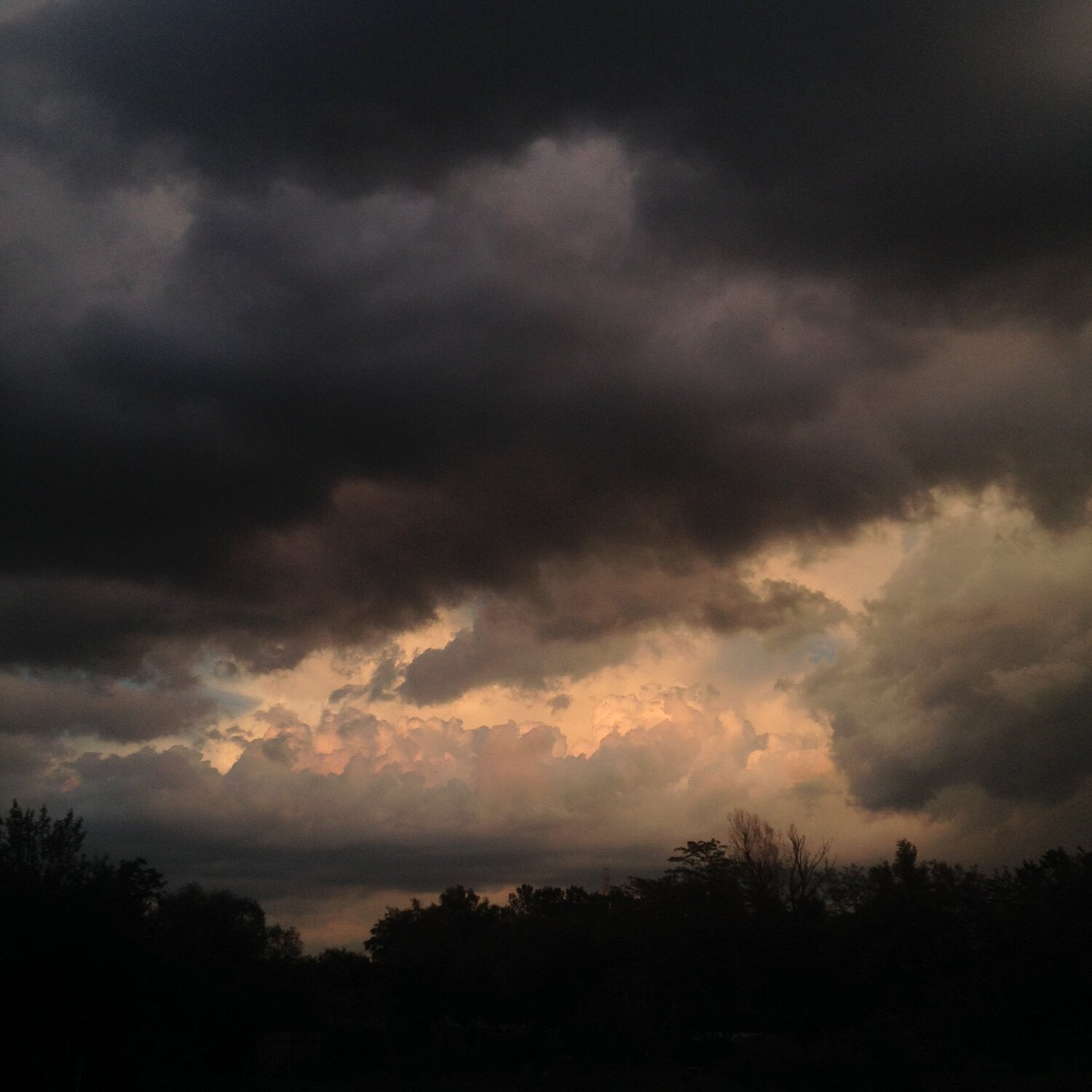 Photo #2295527