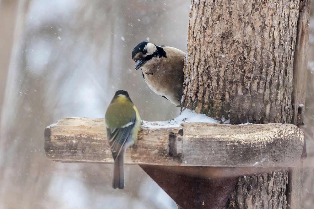 Даваааай поговорим...
