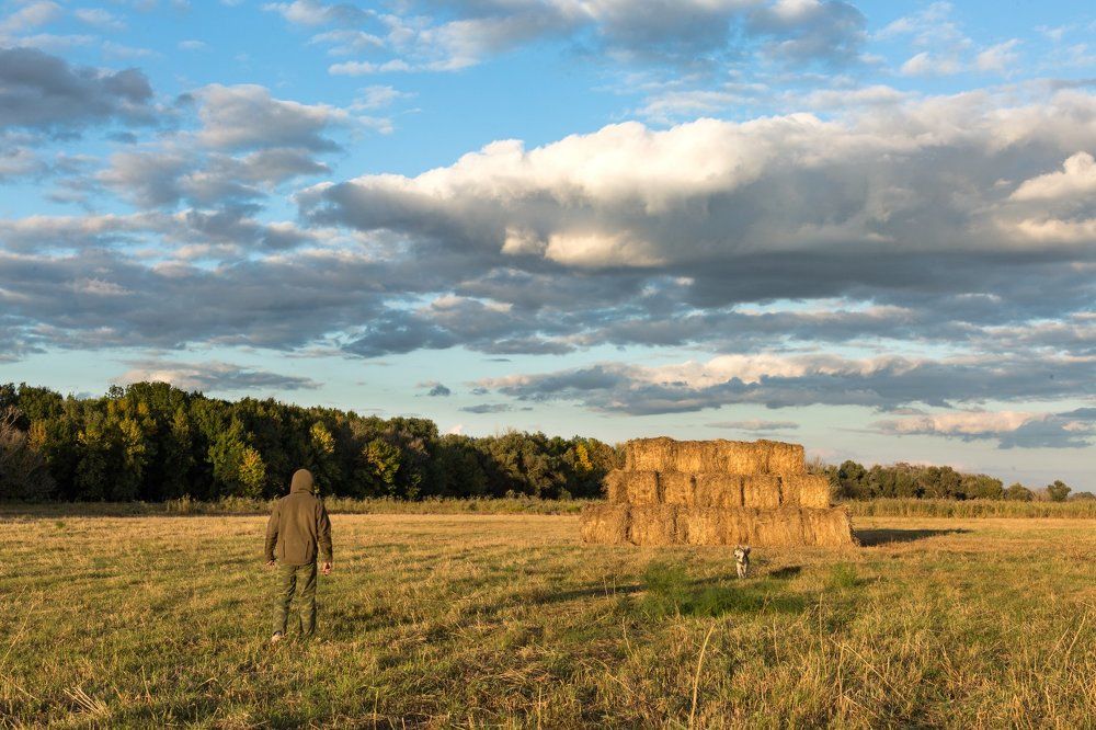 Photograph by Алексей Кашин