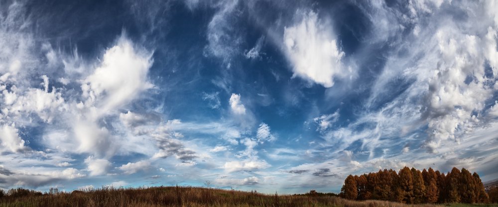 Растрепанные облака