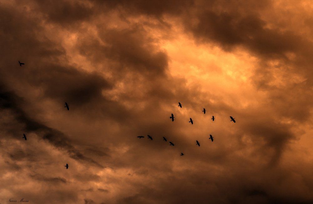 The fall of rebel angel