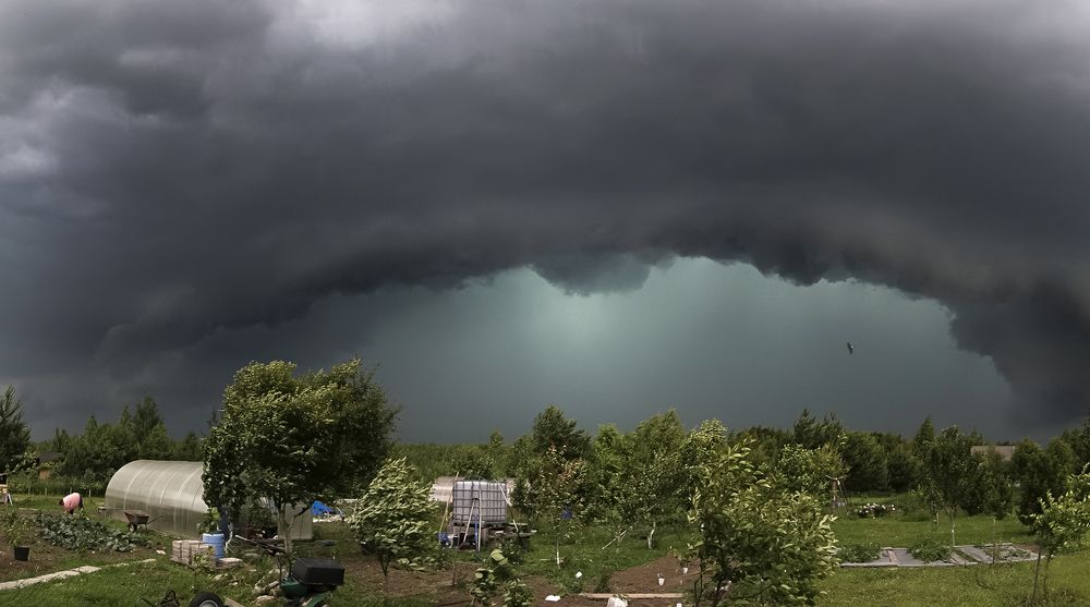 Перед грозой