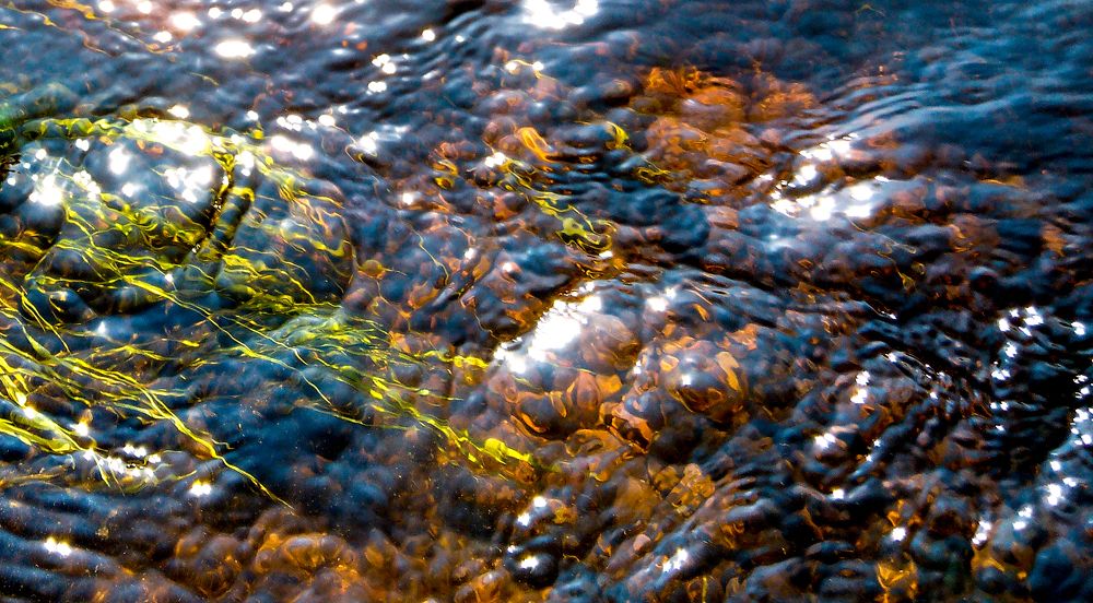 Подводный мир