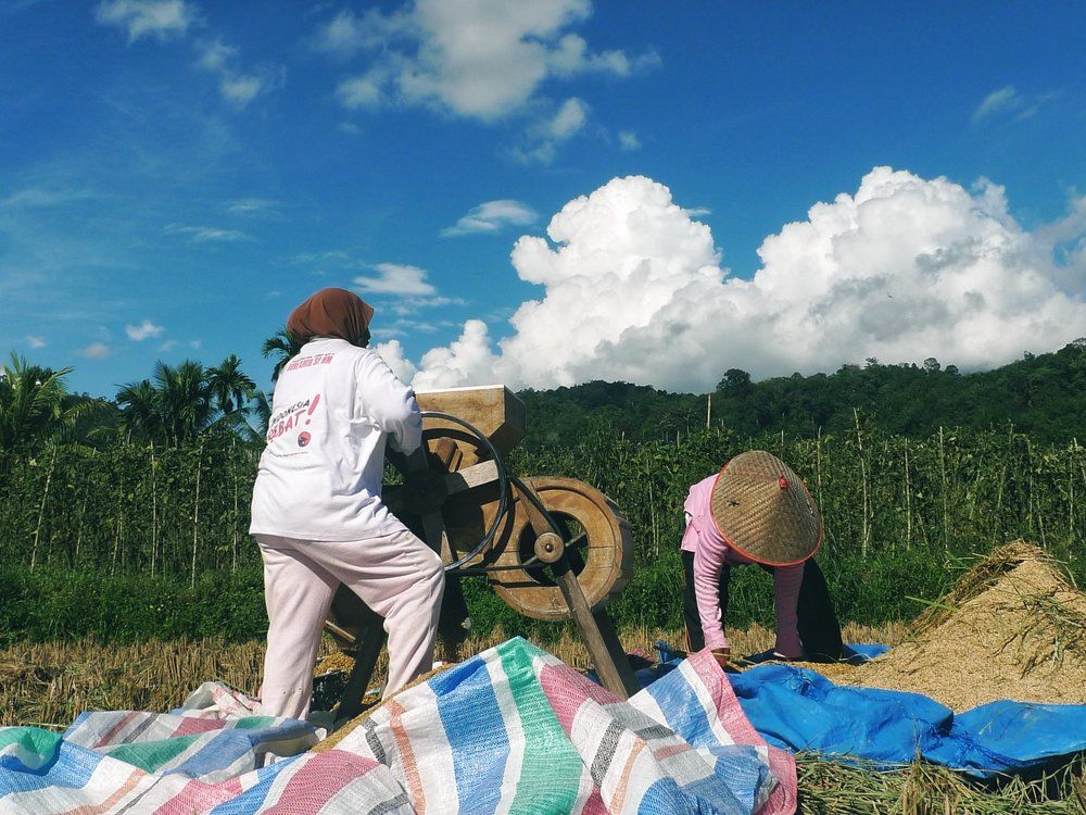 Photograph by Zulfikar ijul