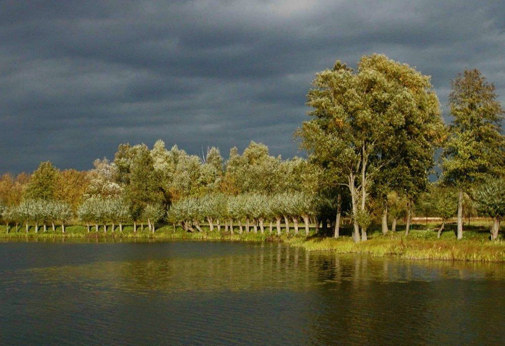 before storm ( part two )